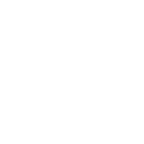 Icon Veröffentlichungen